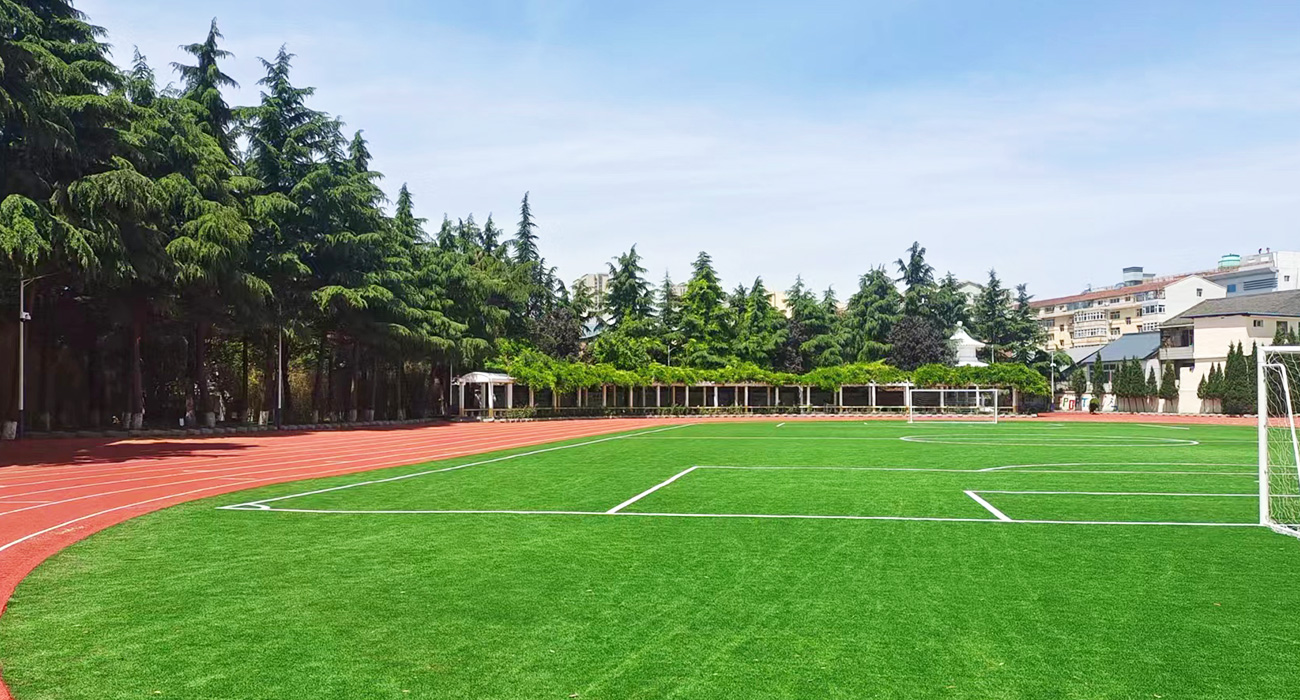 山西晋城市红星小学草坪2600