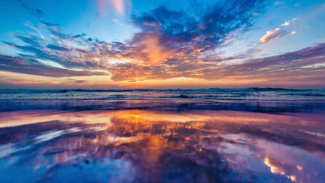 必威集团：利用器材训练少儿篮球